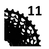 11