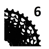6
