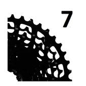 7