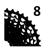 8