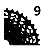 9