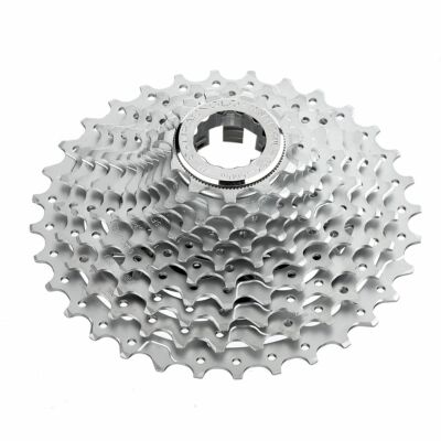Campagnolopot11-27